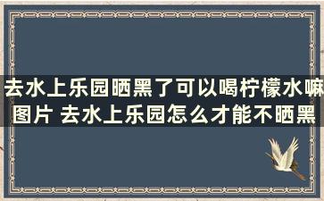 去水上乐园晒黑了可以喝柠檬水嘛图片 去水上乐园怎么才能不晒黑